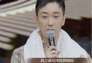 王自健家暴(抑郁症好了，被章子怡夸了，可他到底有没有被家暴？)