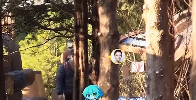 章子怡带儿子去游乐园 抽到奖品兴奋庆祝画面温馨