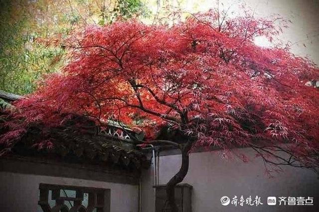 等待-一直等