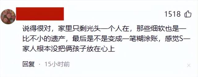 作家陈岚怒批小S鸠占鹊巢,担心大S家珠宝丢失,网友喊话汪小菲