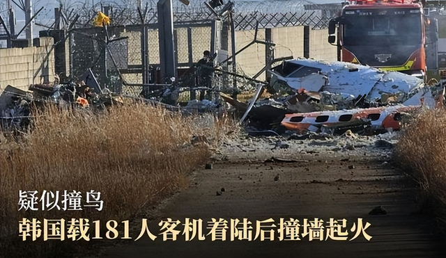 韩国空难除鸟群撞机外，人为因素也很大，韩国大妈目睹坠毁全过程