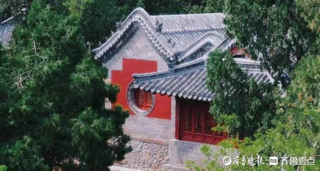 壹图集|最美人间四月天!泰安爬山赏花、露营野餐正当时