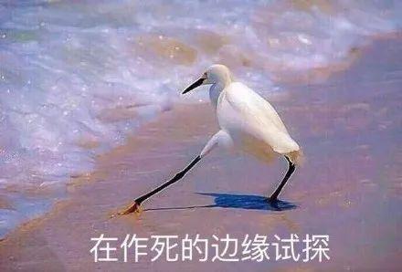 员工发朋友圈吐槽老板“无下限”,被告上法庭!网友评论一边倒……
