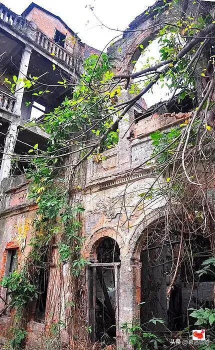这座闻名西关的民国“奇花别墅”,竟是“一代赌王”傅老榕故居