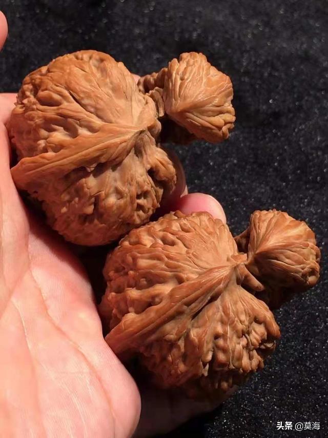 德云班主郭德纲的天价文玩核桃