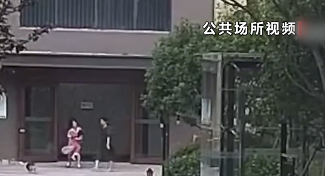 央视还原徽州宴事件真相,邹某某被冤枉了,徽州宴税务已出结果