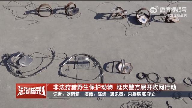 真缺那口肉?北京延庆警方:涉嫌非法狩猎,刑拘!