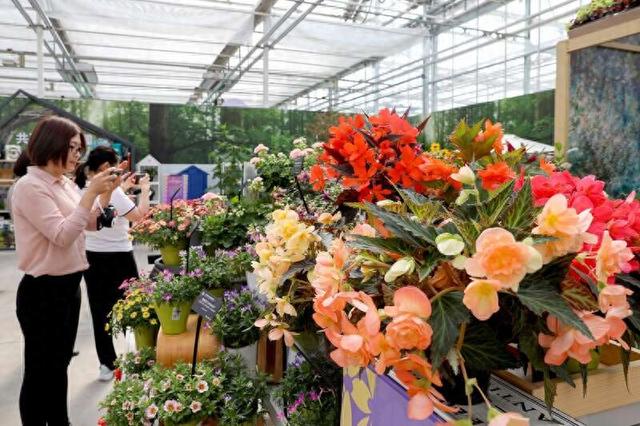 2024北京春季新优花卉品种展示推介会举办