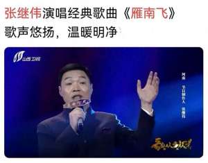 歌曲雁南飞原唱(8《雁南飞》 张继伟（《歌从黄河来》）（原唱 单秀荣）)