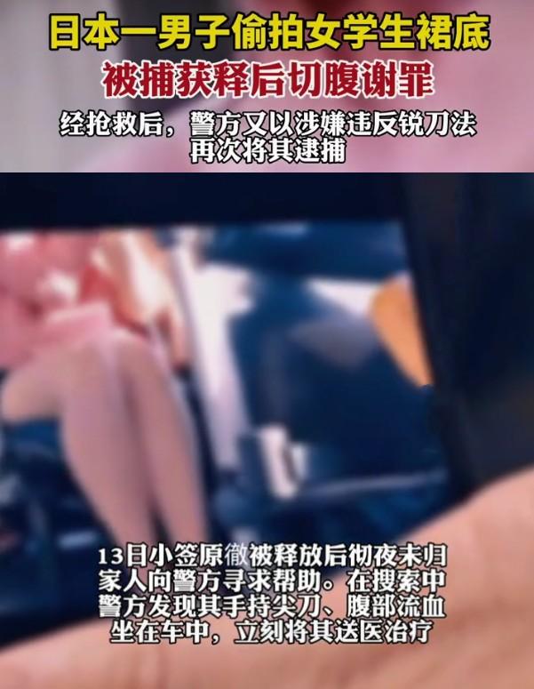 日本痴汉偷拍女生裙底刚被放,欲切腹自杀又被抓:违反铳刀法