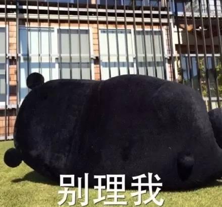 如果你女朋友迷上了宋仲基丨奇葩新闻