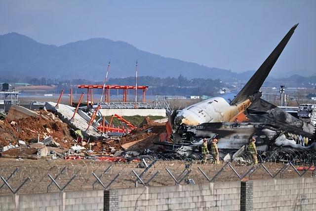 韩国空难除鸟群撞机外，人为因素也很大，韩国大妈目睹坠毁全过程
