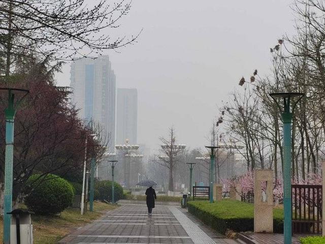 三月里的小雨