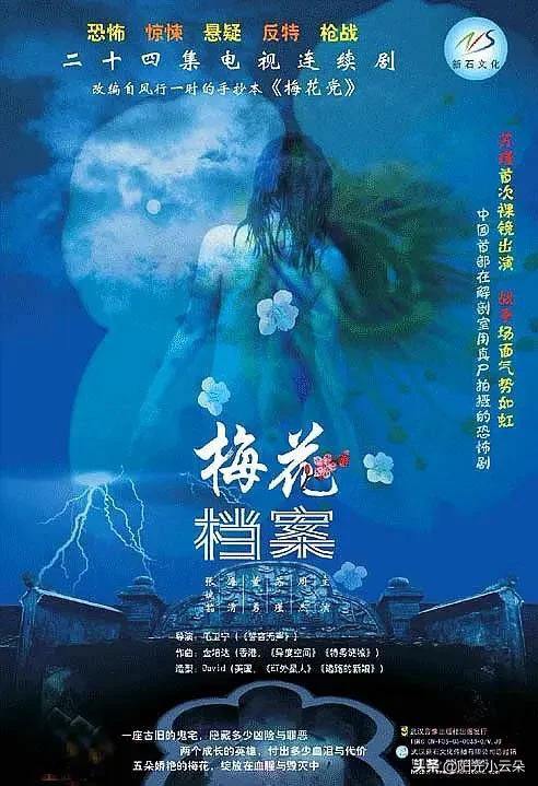 《梅花档案》:海清、周杰,美女特务和机智特工的故事