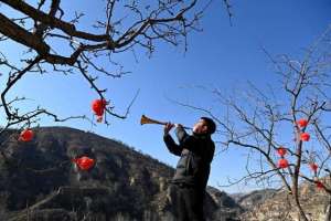 唢呐(唢呐新声吹绿连绵的黄土高坡)