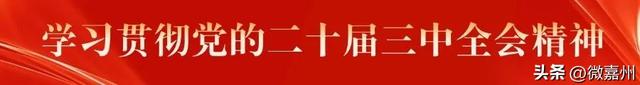 绿心公园梅花绽放,开启春日“梅”好时光