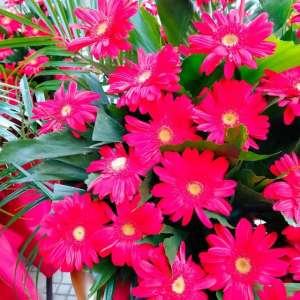 胜似亲人(诗歌：胜似亲人（作者段民生）)