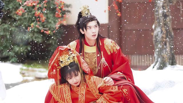 《佳偶自天成》青年新贵陆沉渊求娶骠骑大将军之女江雨柔轰动京城
