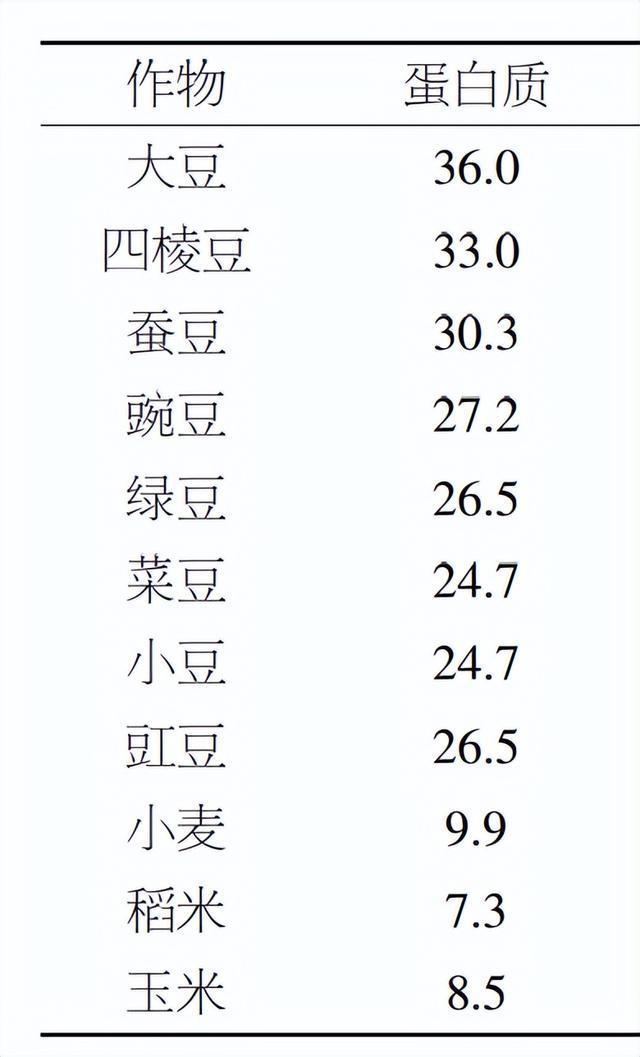 这种豆角全身都能吃,种子更被誉为“维生素 E 之王”,错过真的太可惜