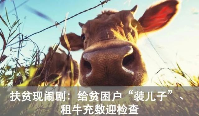 斗鱼一姐陈一发儿:成也是嘴,败也是嘴