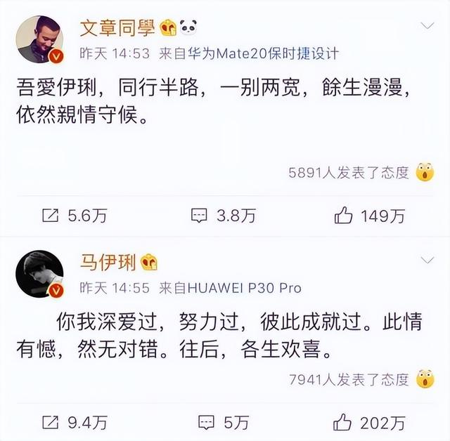 马伊琍:爱情婚姻都有泪,离婚后活成大女主,让管虎、文章后悔
