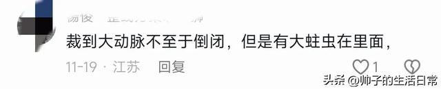 为啥王漫妮辞职不到半年,米西亚就破产了呢?