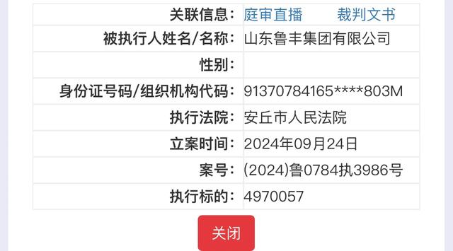 执行总标的7300余万!山东鲁丰集团连续5次被列为被执行人