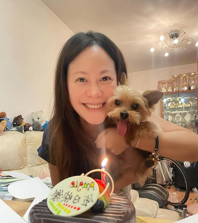 痛心疾首!郑启泰新婚离世,腹泻晕倒的真相为何?妻子怎样面对?