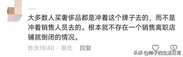 为啥王漫妮辞职不到半年,米西亚就破产了呢?