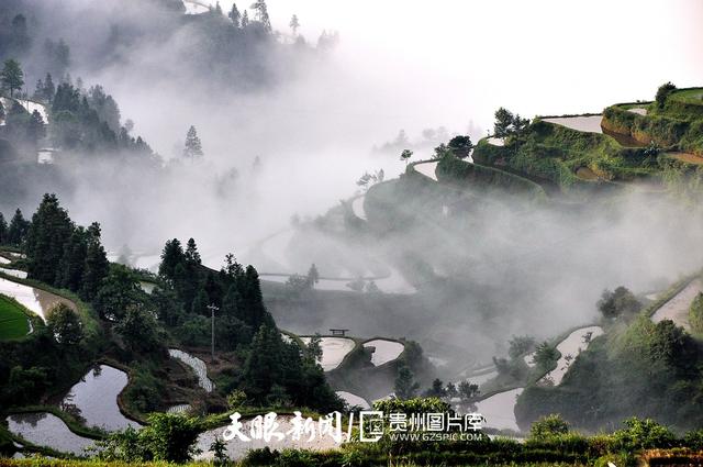 天青色等烟雨,而我在等你