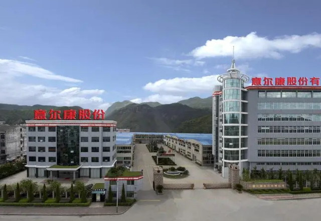 丽水最好的8家民营企业揭晓，能进去的都要走后门