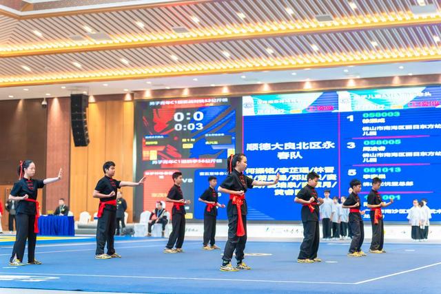 功夫少年打咏春,一招一式尽显力量和美感|2024国际咏春拳大赛