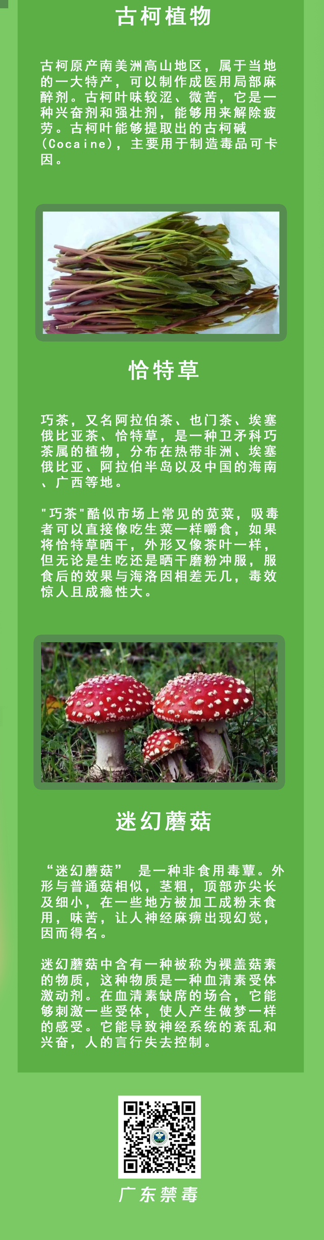 全民禁毒|千万选择,唯“毒”不种