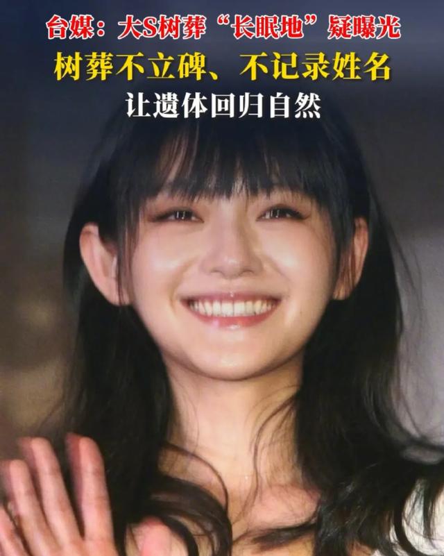 大S树葬:繁华落幕,回归自然的别样告别