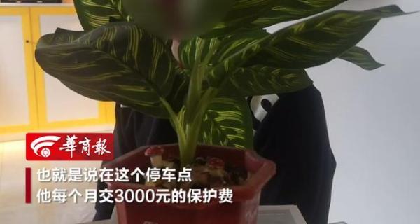 深喉爆料《西安市机动车停放中心收取抽成黑幕》最新进展:两人获刑