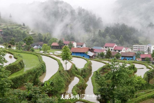 天青色等烟雨,而我在等你