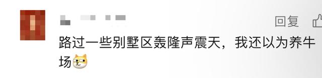深圳夜晚的“牛叫声”原来是它→