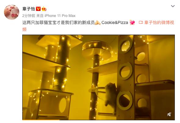 二胎产后六个月,章子怡辟谣怀三胎:嫁给汪峰后的她,完全变了样