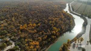 刀郎是哪的人(刀郎故里：新疆阿瓦提县发展特色文化旅游显成效)