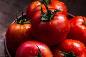 狼桃(从让人恐惧的“狼桃”，到少有人不爱的蔬果，番茄的一生如履薄冰)