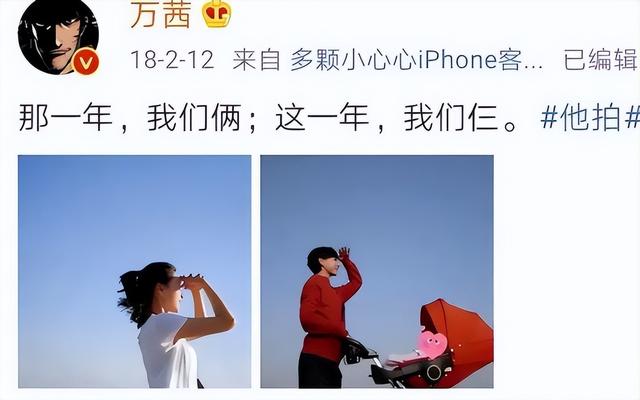 不婚主义万茜终沦陷,为爱冒险产子,神秘摄影师老公成最大依靠