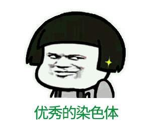 【荐读】不要香菜！千万不要香菜啊啊啊啊啊！！