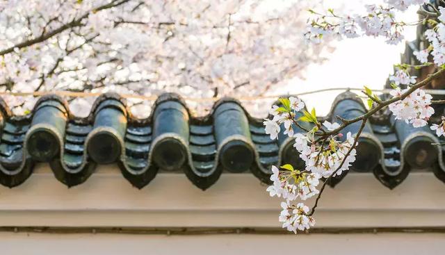 定了!今年,这里中心城区将建52个停车场,具体位置