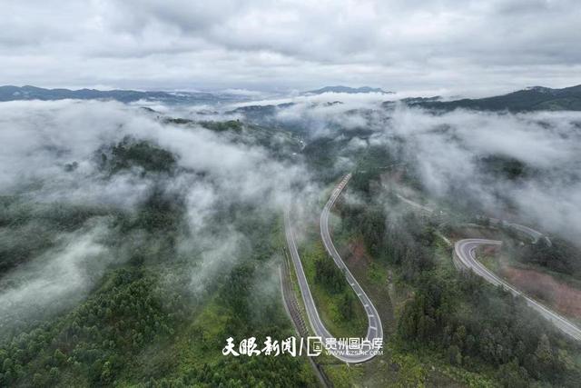 天青色等烟雨,而我在等你