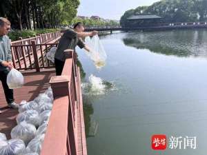 梦兰(“放鱼养水，以鱼洁水”，常熟琴川街道梦兰村开展放养鱼苗净化河道护河行动)