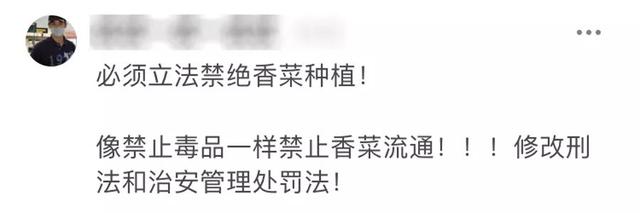 【荐读】不要香菜！千万不要香菜啊啊啊啊啊！！