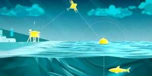 失落大陆电影(科学家意外发现“失落大陆”，7万年前曾有50万人居住在这里)