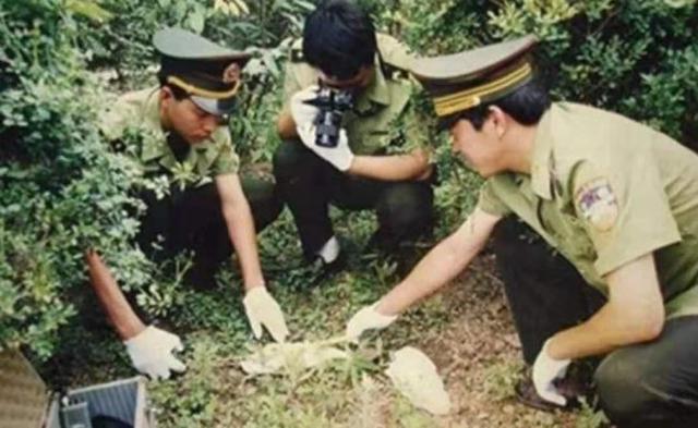 1991年，河南母子麦田遇害，25年后真凶落网，凶手让人难以置信
