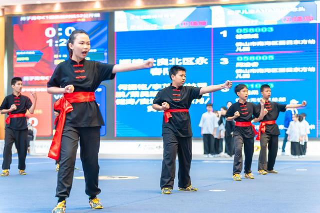 功夫少年打咏春,一招一式尽显力量和美感|2024国际咏春拳大赛