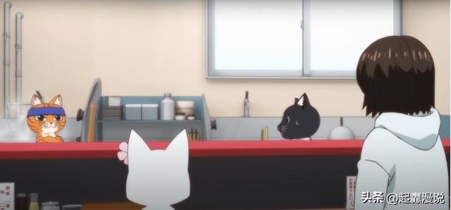 新番动漫资讯，开拉面店的猫猫们的日常，《拉面赤猫》7月播出
